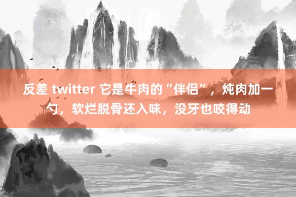 反差 twitter 它是牛肉的“伴侣”，炖肉加一勺，软烂脱骨还入味，没牙也咬得动