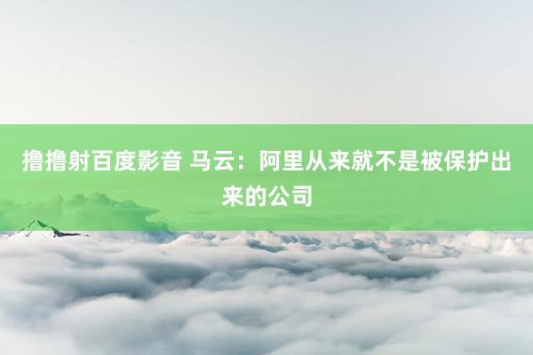撸撸射百度影音 马云：阿里从来就不是被保护出来的公司