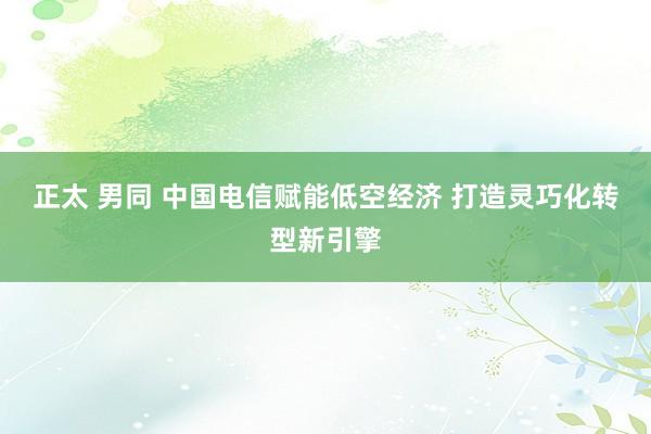 正太 男同 中国电信赋能低空经济 打造灵巧化转型新引擎