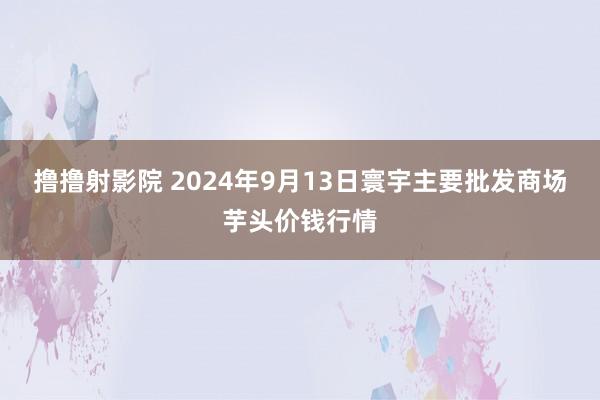 撸撸射影院 2024年9月13日寰宇主要批发商场芋头价钱行情