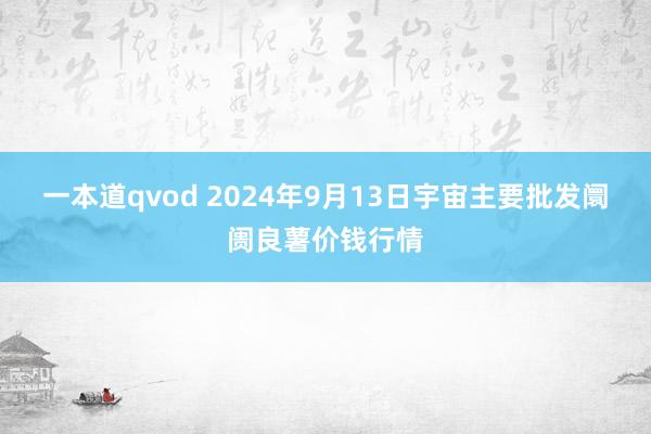一本道qvod 2024年9月13日宇宙主要批发阛阓良薯价钱行情
