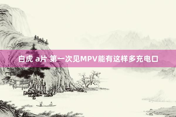 白虎 a片 第一次见MPV能有这样多充电口