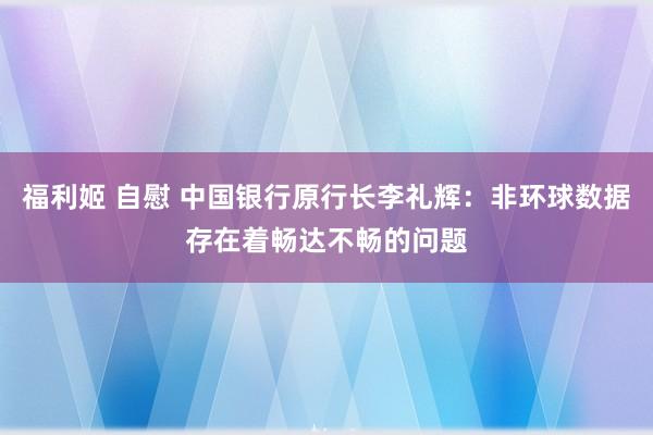 福利姬 自慰 中国银行原行长李礼辉：非环球数据存在着畅达不畅的问题