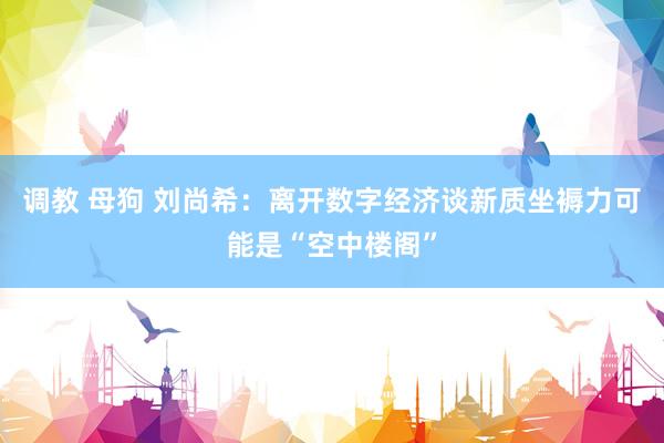 调教 母狗 刘尚希：离开数字经济谈新质坐褥力可能是“空中楼阁”