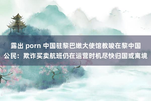 露出 porn 中国驻黎巴嫩大使馆教唆在黎中国公民：欺诈买卖航班仍在运营时机尽快归国或离境