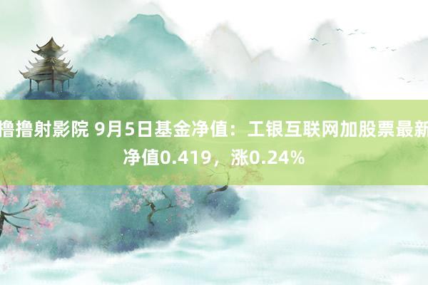 撸撸射影院 9月5日基金净值：工银互联网加股票最新净值0.419，涨0.24%