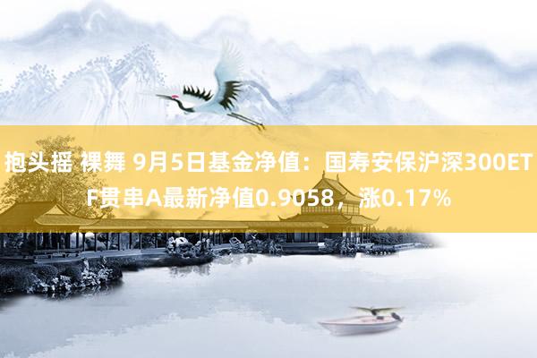 抱头摇 裸舞 9月5日基金净值：国寿安保沪深300ETF贯串A最新净值0.9058，涨0.17%