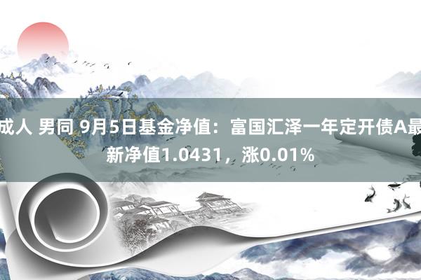 成人 男同 9月5日基金净值：富国汇泽一年定开债A最新净值1.0431，涨0.01%