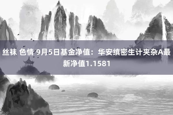 丝袜 色情 9月5日基金净值：华安缜密生计夹杂A最新净值1.1581