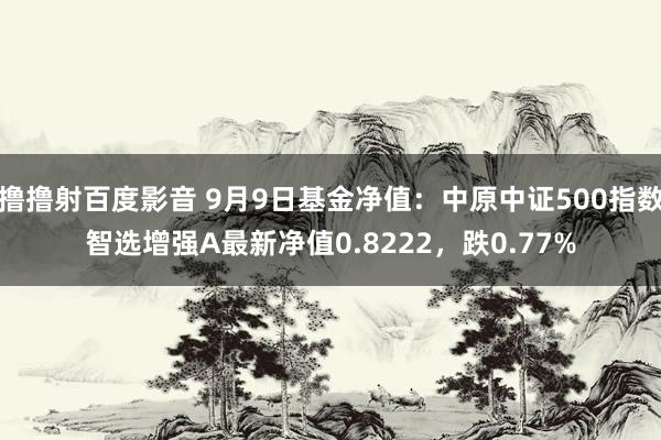 撸撸射百度影音 9月9日基金净值：中原中证500指数智选增强A最新净值0.8222，跌0.77%
