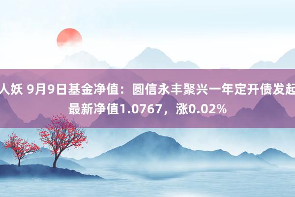 人妖 9月9日基金净值：圆信永丰聚兴一年定开债发起最新净值1.0767，涨0.02%