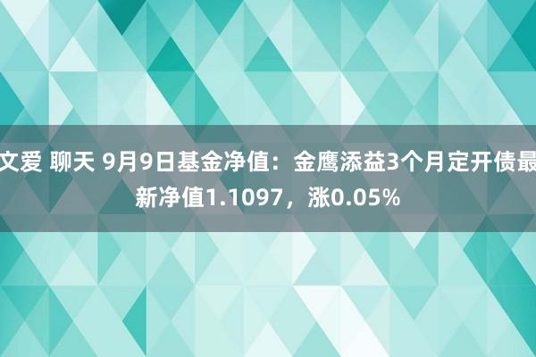 文爱 聊天 9月9日基金净值：金鹰添益3个月定开债最新净值1.1097，涨0.05%