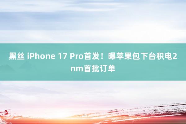 黑丝 iPhone 17 Pro首发！曝苹果包下台积电2nm首批订单