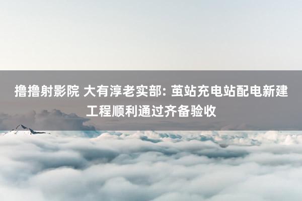 撸撸射影院 大有淳老实部: 茧站充电站配电新建工程顺利通过齐备验收
