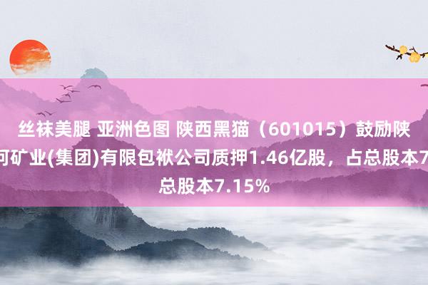 丝袜美腿 亚洲色图 陕西黑猫（601015）鼓励陕西黄河矿业(集团)有限包袱公司质押1.46亿股，占总股本7.15%