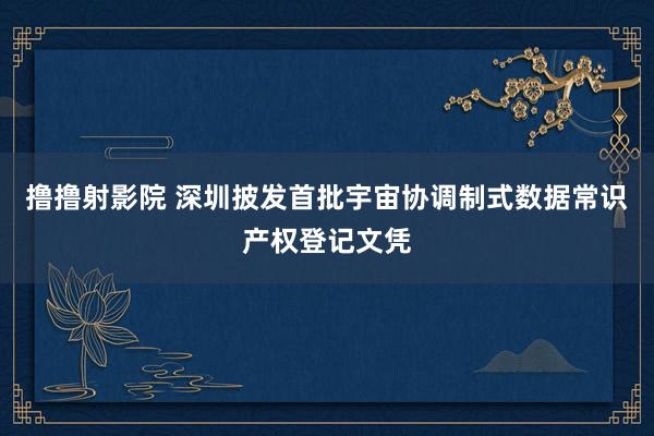撸撸射影院 深圳披发首批宇宙协调制式数据常识产权登记文凭