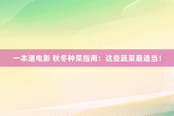 一本道电影 秋冬种菜指南：这些蔬菜最适当！