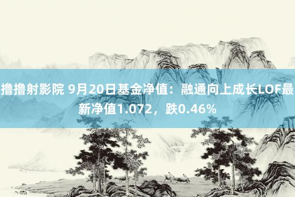 撸撸射影院 9月20日基金净值：融通向上成长LOF最新净值1.072，跌0.46%
