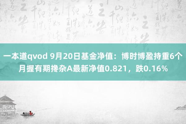 一本道qvod 9月20日基金净值：博时博盈持重6个月握有期搀杂A最新净值0.821，跌0.16%