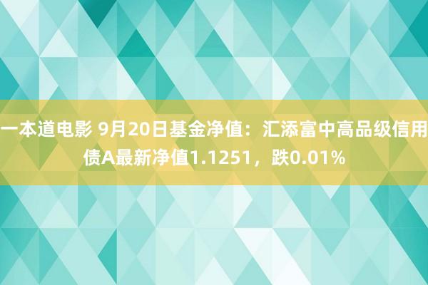一本道电影 9月20日基金净值：汇添富中高品级信用债A最新净值1.1251，跌0.01%