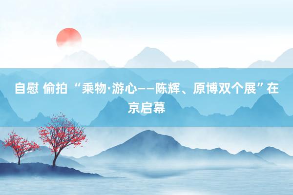 自慰 偷拍 “乘物·游心——陈辉、原博双个展”在京启幕
