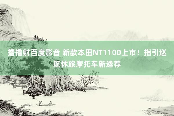 撸撸射百度影音 新款本田NT1100上市！指引巡航休旅摩托车新遴荐