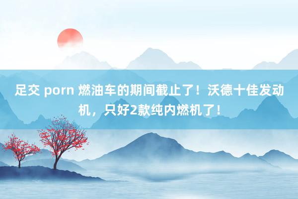 足交 porn 燃油车的期间截止了！沃德十佳发动机，只好2款纯内燃机了！