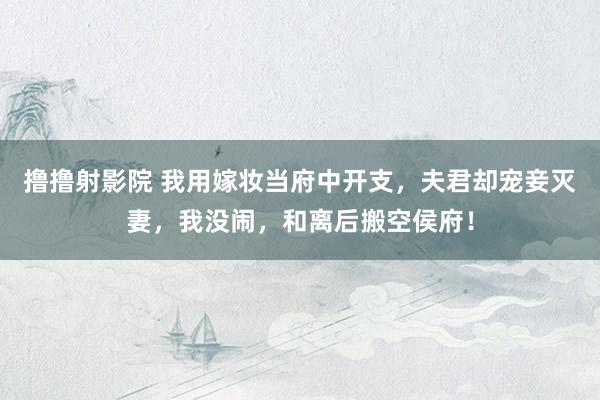 撸撸射影院 我用嫁妆当府中开支，夫君却宠妾灭妻，我没闹，和离后搬空侯府！