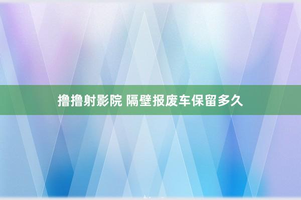 撸撸射影院 隔壁报废车保留多久