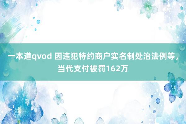 一本道qvod 因违犯特约商户实名制处治法例等，当代支付被罚162万