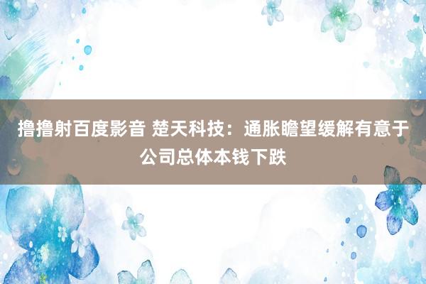 撸撸射百度影音 楚天科技：通胀瞻望缓解有意于公司总体本钱下跌