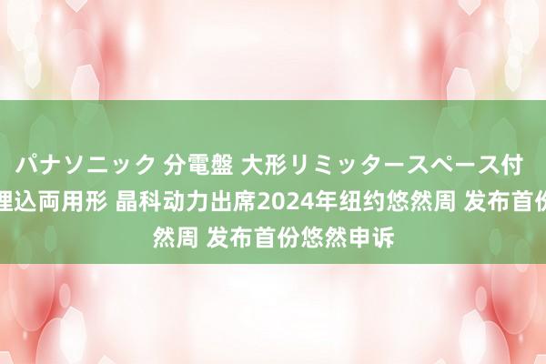 パナソニック 分電盤 大形リミッタースペース付 露出・半埋込両用形 晶科动力出席2024年纽约悠然周 发布首份悠然申诉