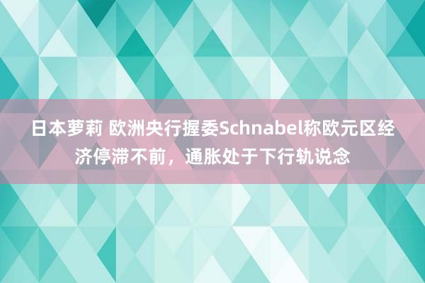 日本萝莉 欧洲央行握委Schnabel称欧元区经济停滞不前，通胀处于下行轨说念