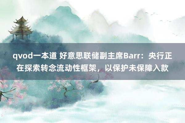 qvod一本道 好意思联储副主席Barr：央行正在探索转念流动性框架，以保护未保障入款
