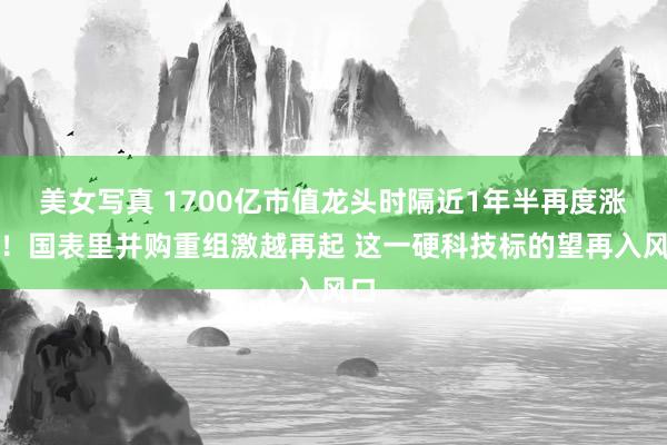 美女写真 1700亿市值龙头时隔近1年半再度涨停！国表里并购重组激越再起 这一硬科技标的望再入风口