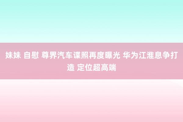 妹妹 自慰 尊界汽车谍照再度曝光 华为江淮息争打造 定位超高端