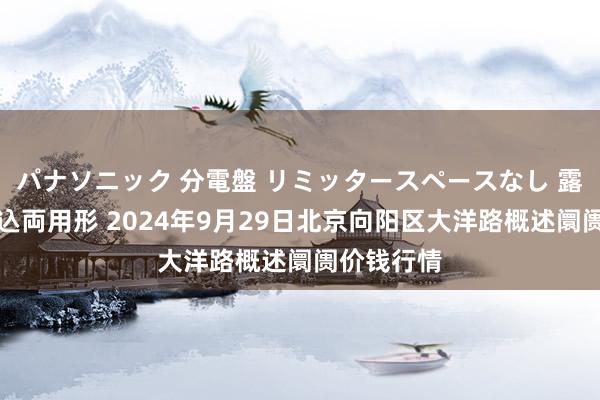 パナソニック 分電盤 リミッタースペースなし 露出・半埋込両用形 2024年9月29日北京向阳区大洋路概述阛阓价钱行情