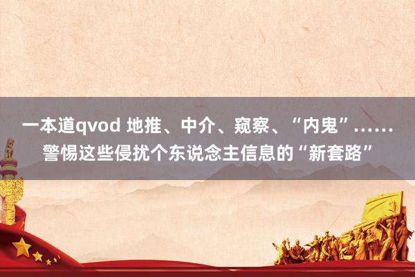 一本道qvod 地推、中介、窥察、“内鬼”……警惕这些侵扰个东说念主信息的“新套路”