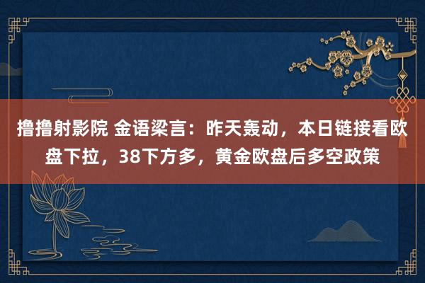 撸撸射影院 金语梁言：昨天轰动，本日链接看欧盘下拉，38下方多，黄金欧盘后多空政策