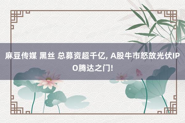 麻豆传媒 黑丝 总募资超千亿， A股牛市怒放光伏IPO腾达之门!