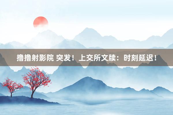 撸撸射影院 突发！上交所文牍：时刻延迟！