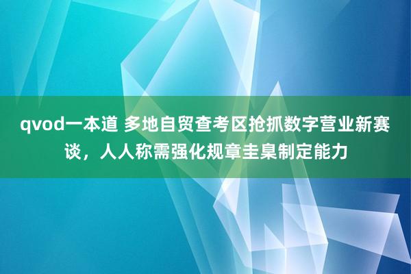 qvod一本道 多地自贸查考区抢抓数字营业新赛谈，人人称需强化规章圭臬制定能力
