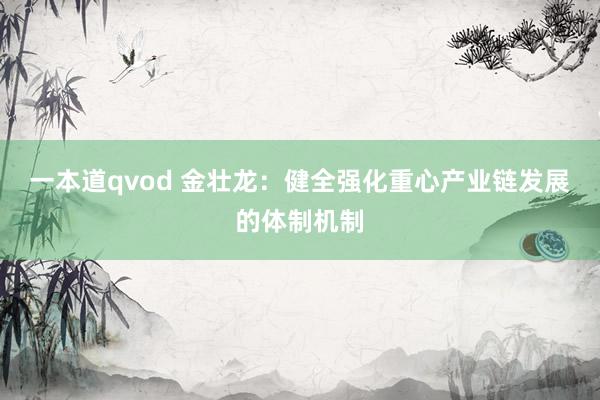一本道qvod 金壮龙：健全强化重心产业链发展的体制机制