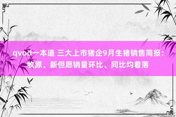 qvod一本道 三大上市猪企9月生猪销售简报：牧原、新但愿销量环比、同比均着落