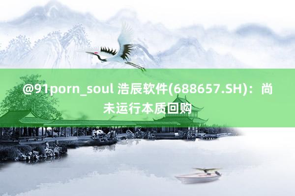 @91porn_soul 浩辰软件(688657.SH):尚未运行本质回购