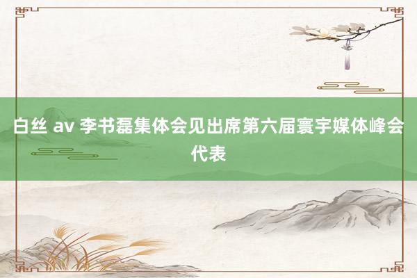 白丝 av 李书磊集体会见出席第六届寰宇媒体峰会代表