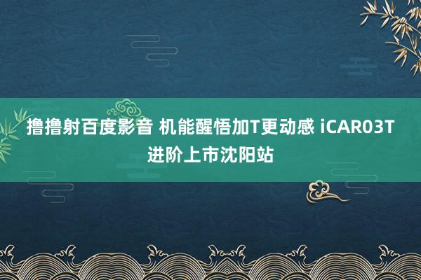 撸撸射百度影音 机能醒悟加T更动感 iCAR03T进阶上市沈阳站
