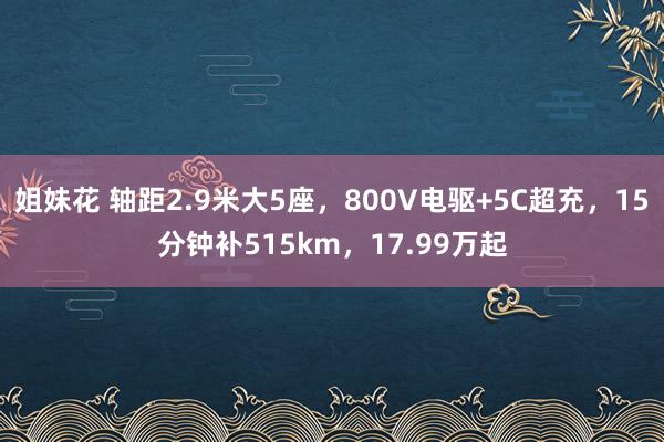 姐妹花 轴距2.9米大5座，800V电驱+5C超充，15分钟补515km，17.99万起