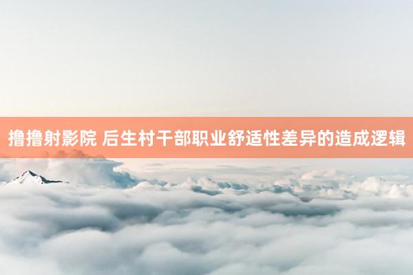 撸撸射影院 后生村干部职业舒适性差异的造成逻辑