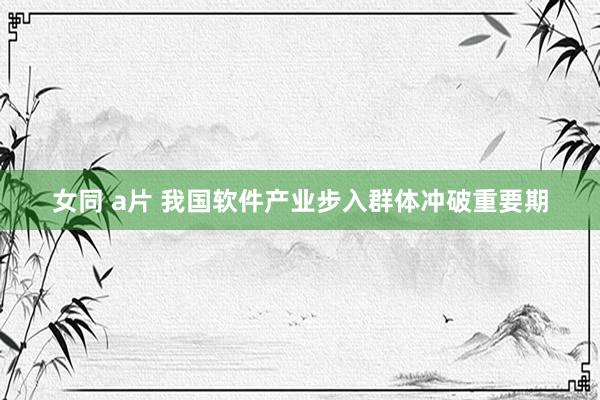 女同 a片 我国软件产业步入群体冲破重要期